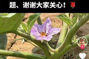 够拼！霍伊伦全场数据：1射1正 2次关键传球 5对抗3成功